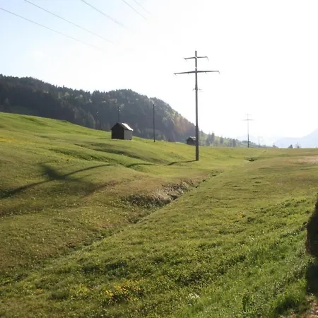 Apartament Baedli By Interhome *